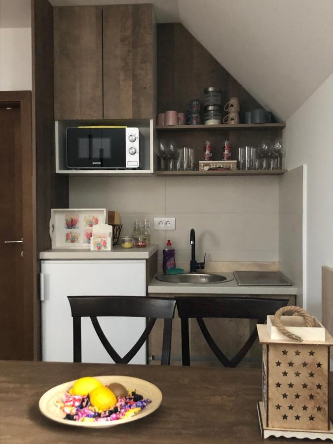 Apartmani Vidatela Kopaonik Exteriér fotografie