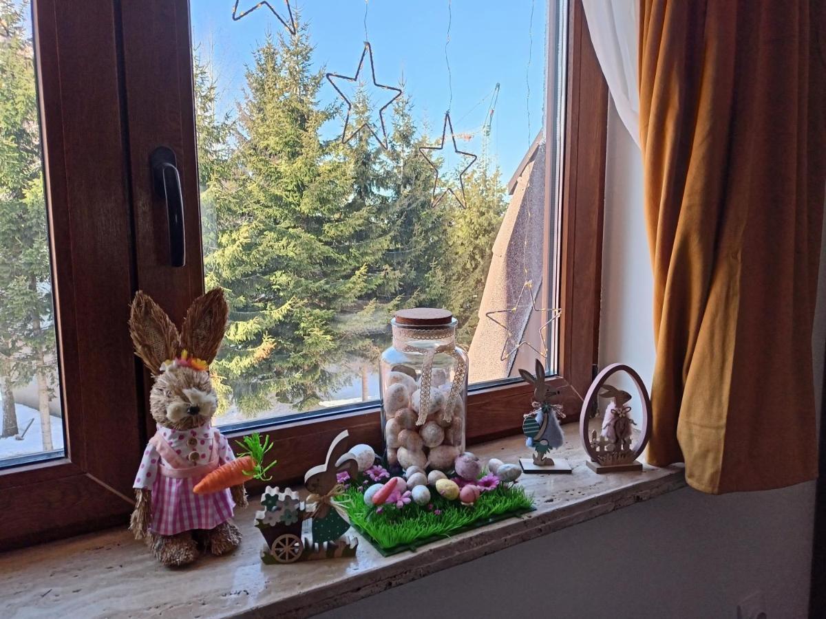 Apartmani Vidatela Kopaonik Exteriér fotografie